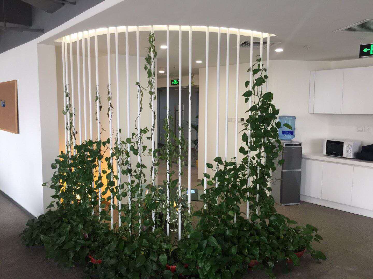 弧形双面隔断垂直花园