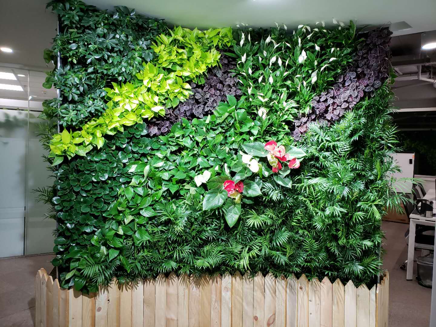 弧形双面隔断垂直花园 - 植物墙|垂直绿化|绿植墙|墙面绿化|墙上绿化